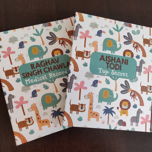 Personalised Folders - Boys Toys