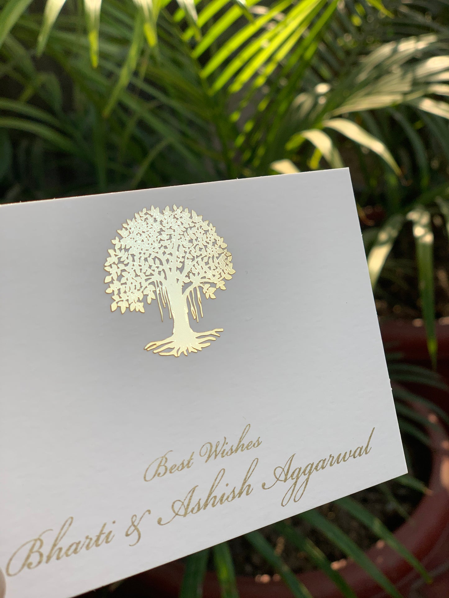 Banyan Tree - Flat Card
