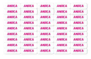 Multiple 'ANIKA' labels with pink text on a white background