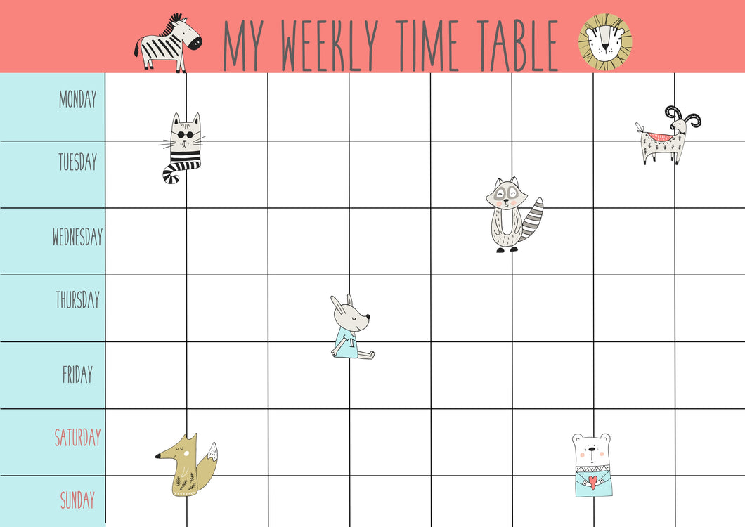 Magnetic Time Table - Friendly Pack
